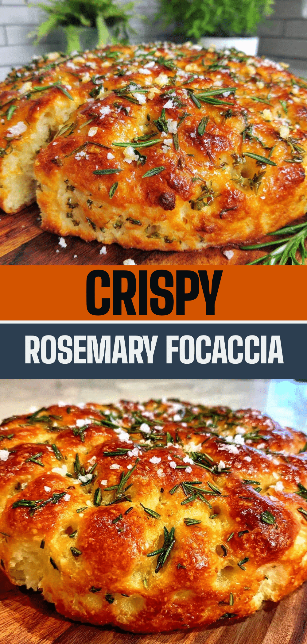 Foolproof Sourdough Focaccia: Make Once, Eat 4 Times This Week 5 sourdough focaccia recipe